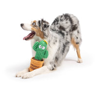 Huxley & Kent Huxley & Kent - Seek 'n Treat Prickly Pawt Dog Toy: Small