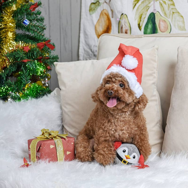 Hugsmart Products Inc dog toys Happy Woofmas Penguin Ball Plush Dog Toy