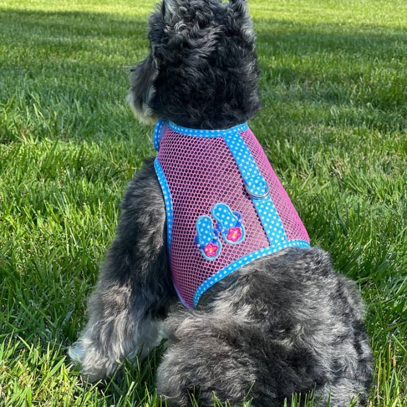 Doggie Design, Inc Harnesses XS Under the Sea Collection - Cool Mesh Dog Harness with Leash - Pink and Blue Flip Flop