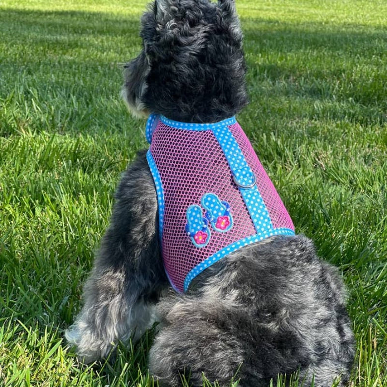 Doggie Design, Inc Harnesses XS Under the Sea Collection - Cool Mesh Dog Harness with Leash - Pink and Blue Flip Flop