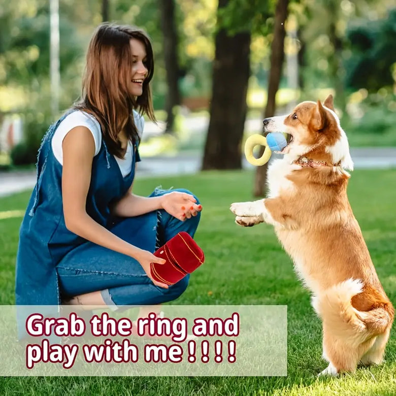 TM - SH Pet dog toys Luxury Inspired Fun Ring in Plush Red Ring Box Interactive Dog Toy