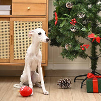 Hugsmart Products Inc Hugsmart Products Inc - HugSmart Pet - Happy Woofmas | Ornament - Dog Ball Toy