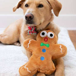 Christmas Holiday Ginger Snapped Plush Squeak Dog Toy - Lg