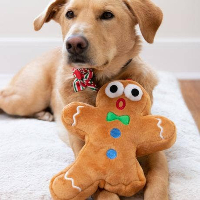 Christmas Holiday Ginger Snapped Plush Squeak Dog Toy - Lg