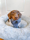 Mina + Pup Bow Tie You’re So Glam Leopard Silver Ombre Bow Tie Dog Collar Attachment