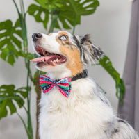 Christmas Holiday Ugly Sweater Bow Tie Pet Collar Attachment - 2 Sizes
