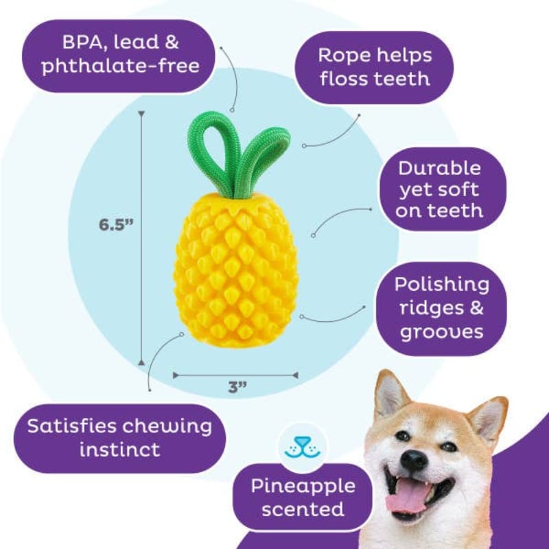 Outward Hound dog toys Dental Yellow Pineapple Interactive Rope Tug and Treat Dog Chew Toy
