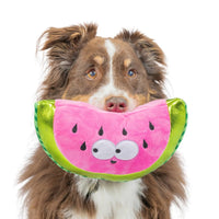 Huxley & Kent Dog Toys Fetchies Walter Melon Plush Squeak Dog Toy - 2 Sizes
