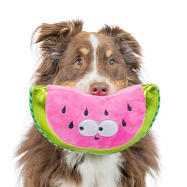 Huxley & Kent Dog Toys Fetchiesย Walter Melon Plush Squeak Dog Toy - 2 Sizes