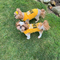 Parisian Pet® Tee's Bee Kind Spring Yellow Dog T-Shirt