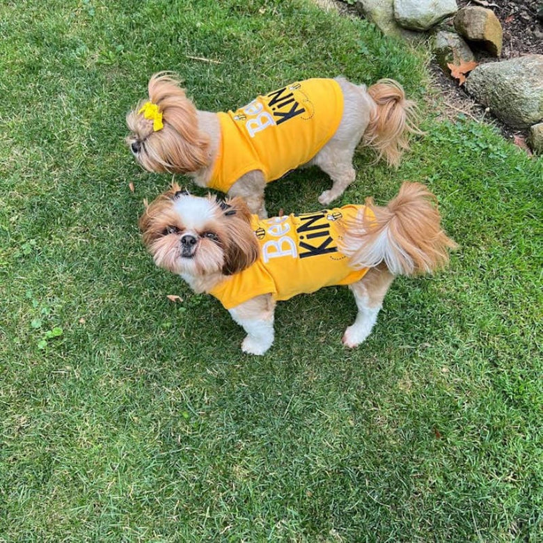 Parisian Pet® Tee's Bee Kind Spring Yellow Dog T-Shirt