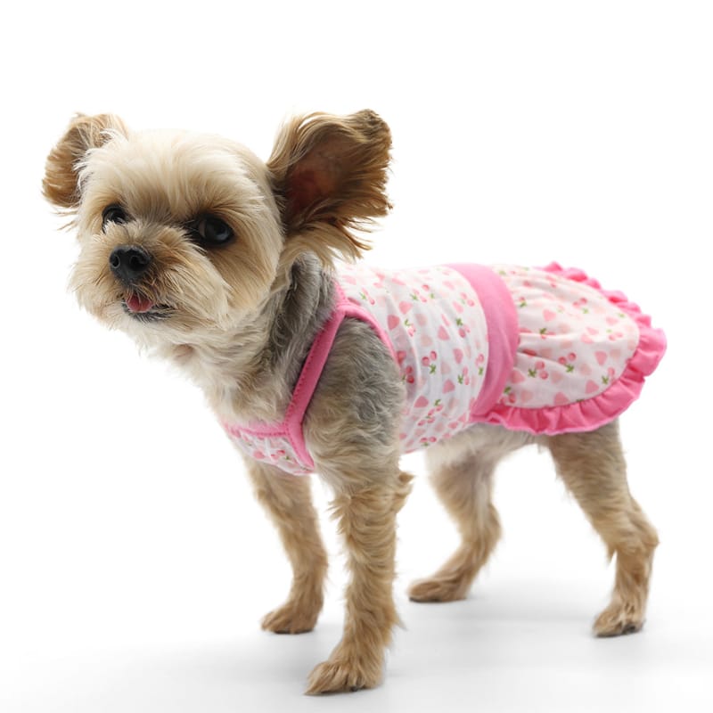 DogoPet.com Light Dress Cherish Heart Dress