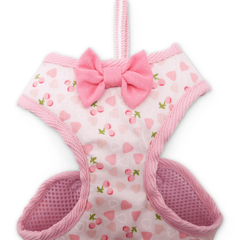 DogoPet.com EasyGO Harness EasyGO Cherish Heart