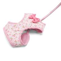 DogoPet.com EasyGO Harness EasyGO Cherish Heart