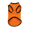 Lil Pumpkin Pet Tank