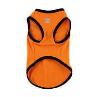 Lil Pumpkin Pet Tank