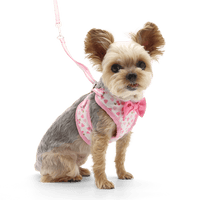 DogoPet.com EasyGO Harness EasyGO Cherish Heart