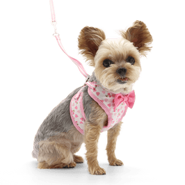 DogoPet.com EasyGO Harness EasyGO Cherish Heart