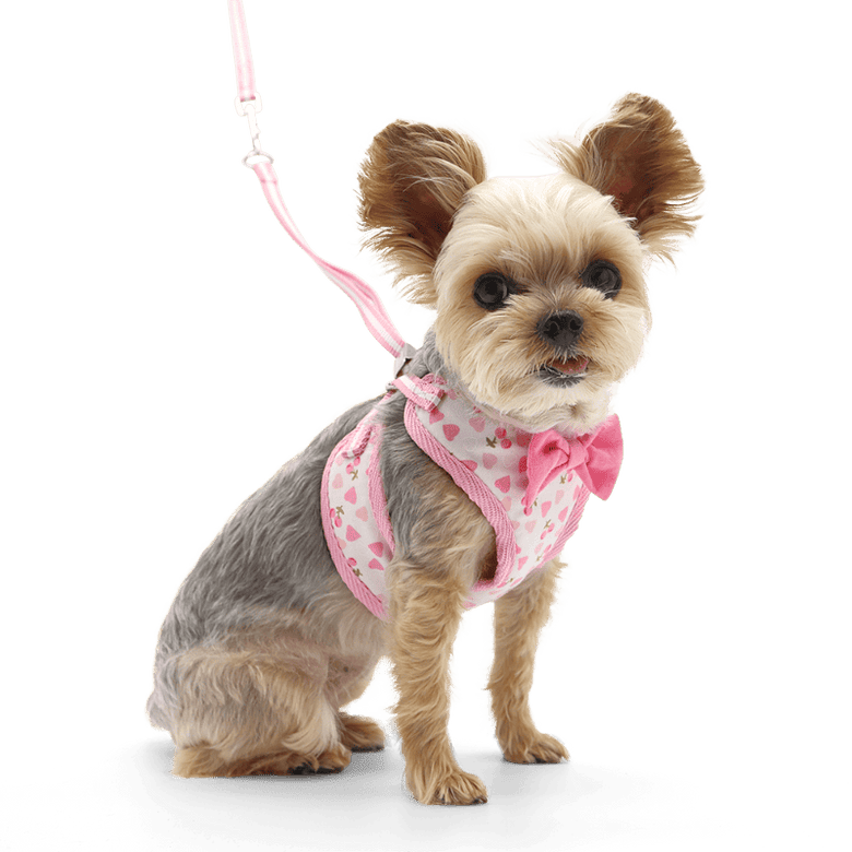 DogoPet.com EasyGO Harness EasyGO Cherish Heart