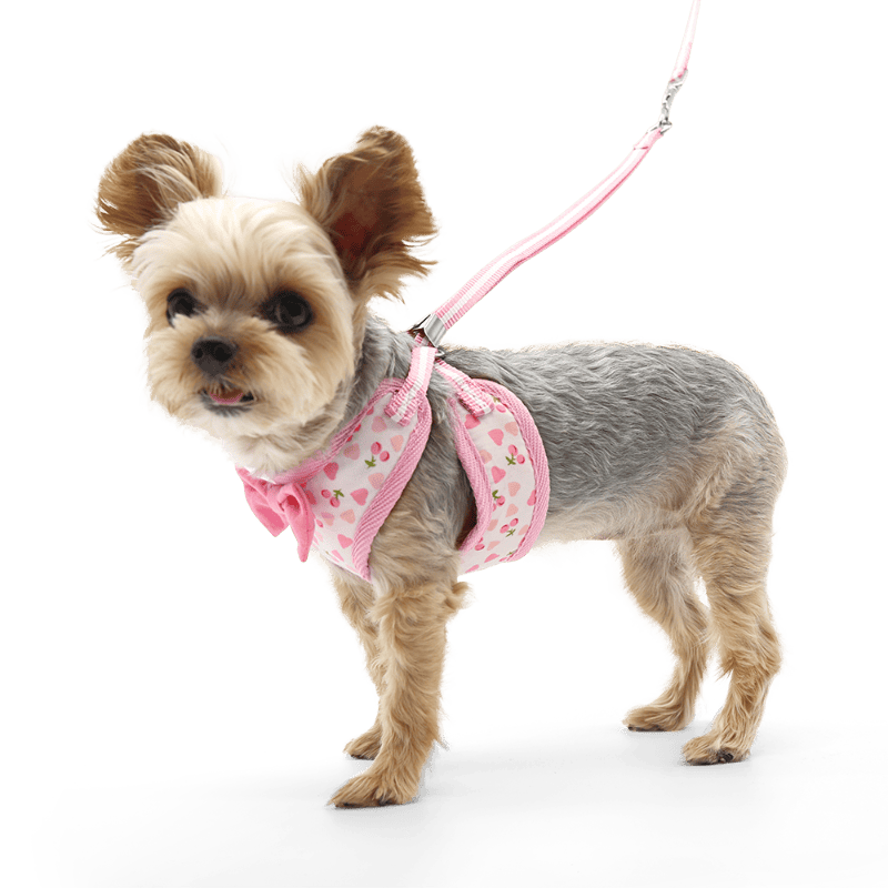 DogoPet.com EasyGO Harness EasyGO Cherish Heart