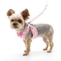 DogoPet.com EasyGO Harness EasyGO Cherish Heart