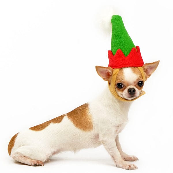 DogoPet.com Winter Hat Elf Hat