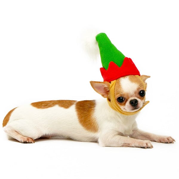 DogoPet.com Winter Hat Elf Hat