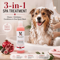 Warren London Spa Product Exfoliating Butter Wash - 2 Scents