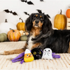 PetShop by Fringe Studio dog toys Halloween Frightly Friends Plush Squeak Dog Toy Set - 3 Pc