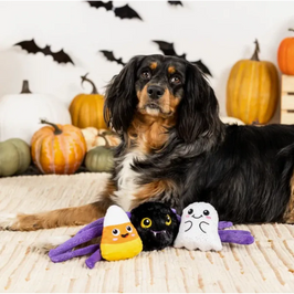 PetShop by Fringe Studio dog toys Halloween Frightly Friends Plush Squeak Dog Toy Set - 3 Pc