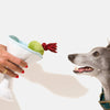 Barktender Pawtini with Olives Crinkle Plush Squeaky Dog Toy