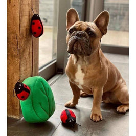 Burrow Ladybug in Leaf Interactive Plush Squeaky Dog Toy Set - 4 Pc
