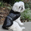 Doggie Design, Inc. Jackets-Coats Black Top Dog Vintage Flight Dog Jacket with matching Leash