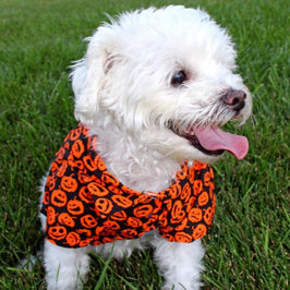 Halloween Season Jack O Lanterns Orange & Black Lightweight Camp Dog Shirt