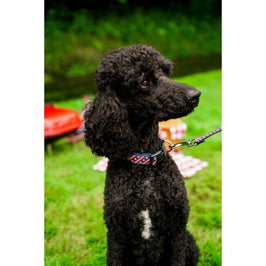 The Worthy Dog Leashes Stars and Stripes Patriotic Red White Blue Dog Collar