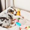 Caterpillar Deluxe Colorful Plush Squeaky Dog Toy