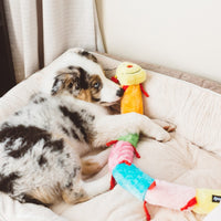 Caterpillar Deluxe Colorful Plush Squeaky Dog Toy