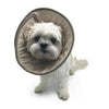 DogoPet.com Recovery E-Collar Get Better Recovery E-Collar