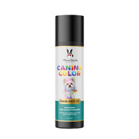 Warren London Spa Product Teal Canine Color Semi Perm Coat Color Shampoo for Dogs