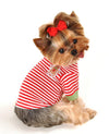 Barker's Bowtique Tee's Gingerbread Cookie Red/ Green Striped Christmas Holiday Dog Tee