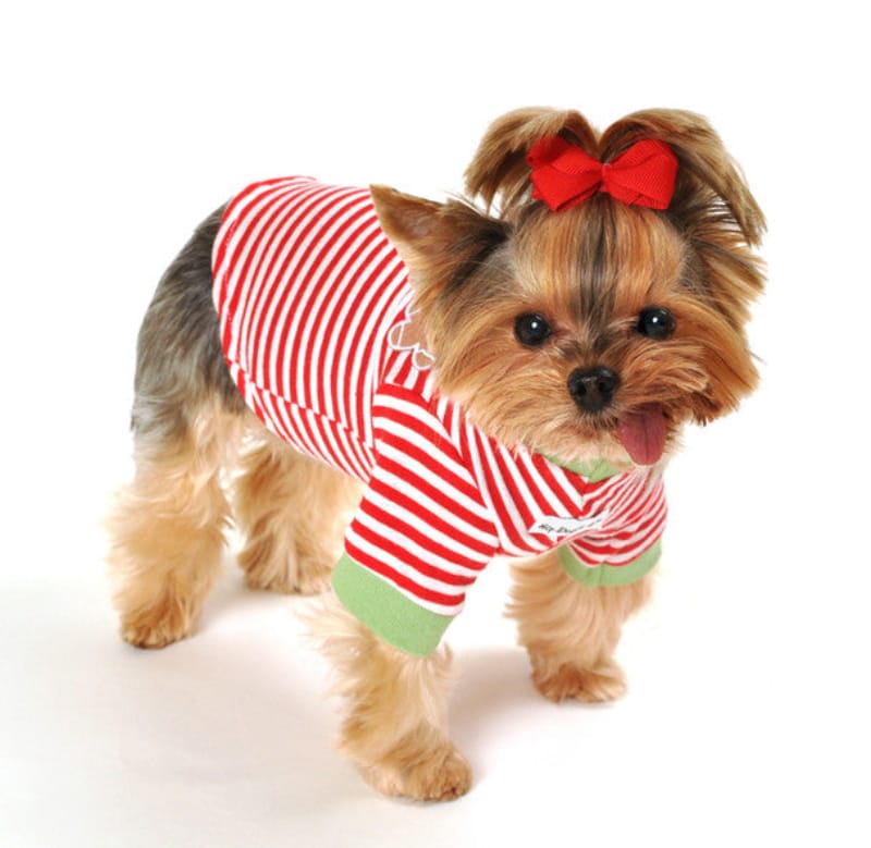 Barker's Bowtique Tee's Gingerbread Cookie Red/ Green Striped Christmas Holiday Dog Tee