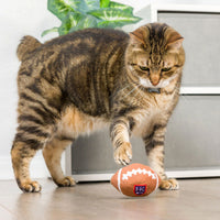 HK Football Fall Season Plush Cat Toy