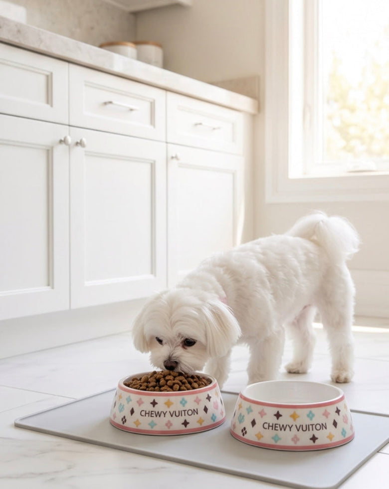 White Chewy Stylish Pet Bowl in 3 Sizes