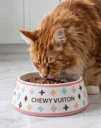 White Chewy Stylish Pet Bowl in 3 Sizes