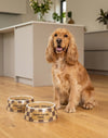 Checker Brown Chewy Stylish Pet Bowl in 3 Sizes