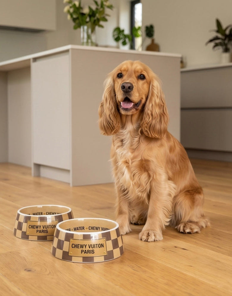 Checker Brown Chewy Stylish Pet Bowl in 3 Sizes