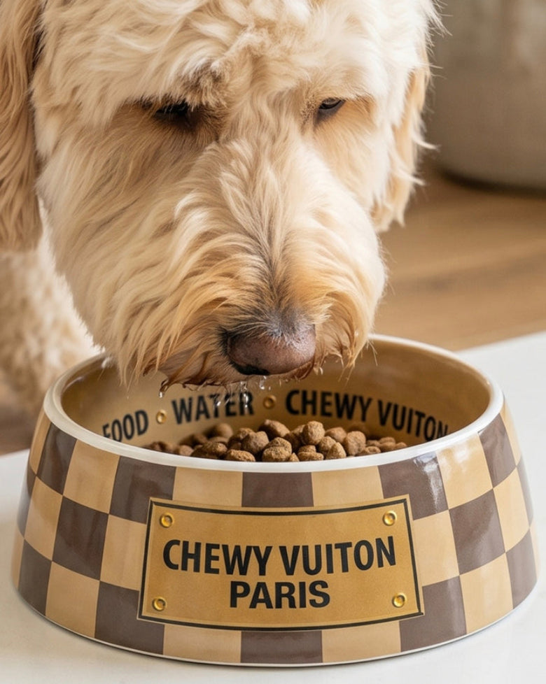 Checker Brown Chewy Stylish Pet Bowl in 3 Sizes