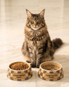 Checker Brown Chewy Stylish Pet Bowl in 3 Sizes