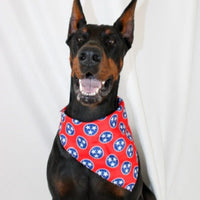 Dog Bandana Co. Nashville Tennessee Dog Bandana