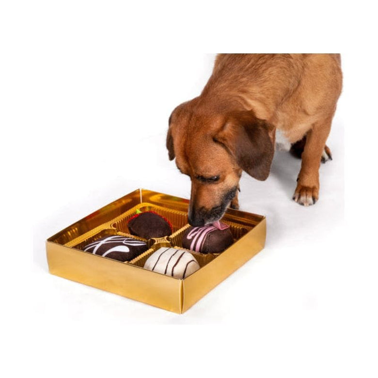 Fab Dog dog toys Dogiva Box of Chocolates Dog Toy Set - 4 Pc